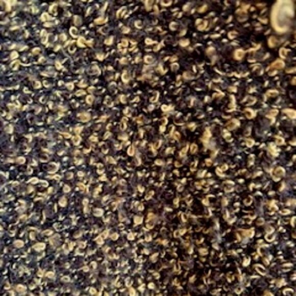 Nina Leonard Knit Button Down Front Cardigan Sweater Top Fringe Collar Sz: XL - Picture 6 of 7